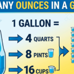 How Many Ounces in a Gallon: Complete Guide